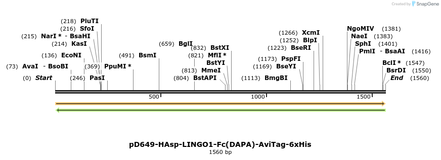 302912_map