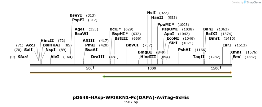 302920_map