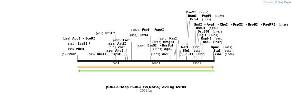 302936_map