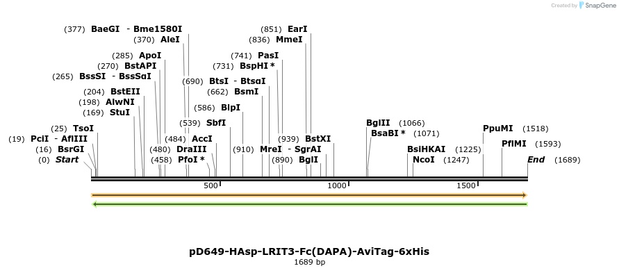 302938_map