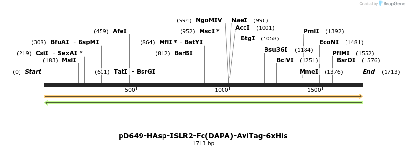 302940_map