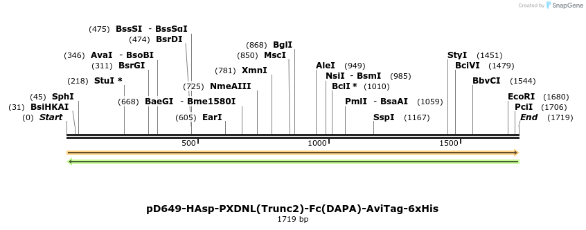 302942_map
