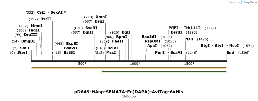 302954_map