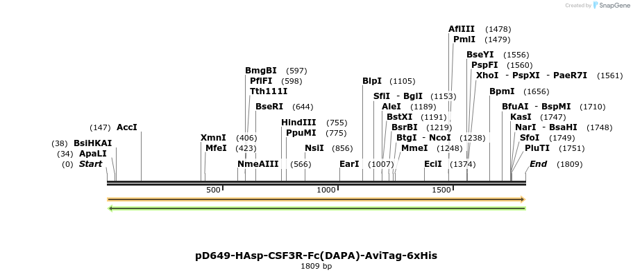 302956_map