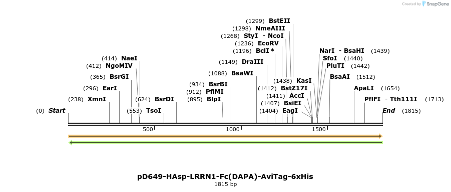 302958_map