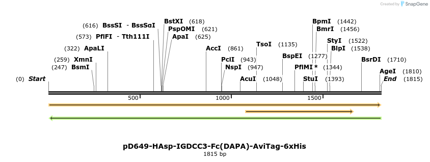 302960_map
