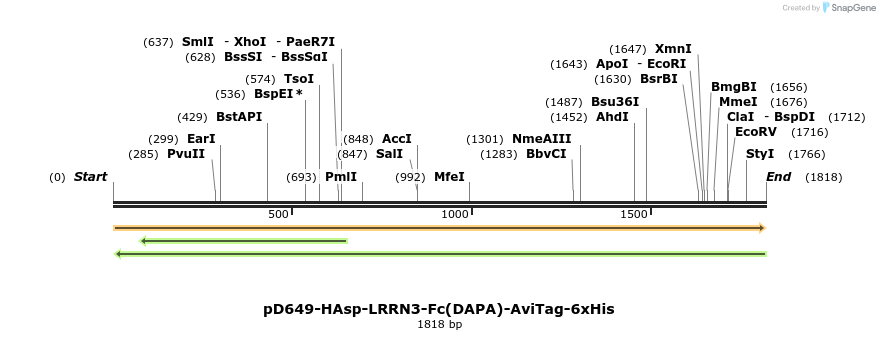 302964_map