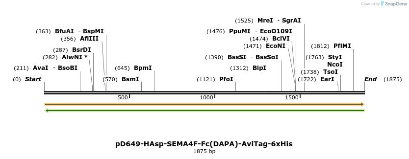 302970_map