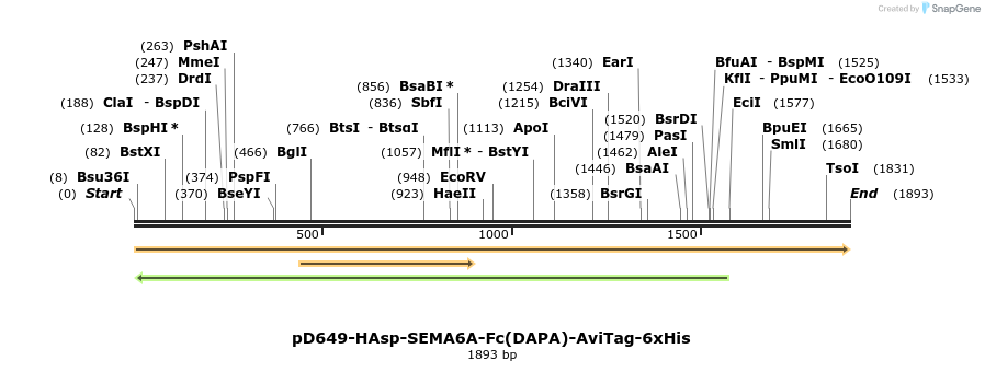 302974_map