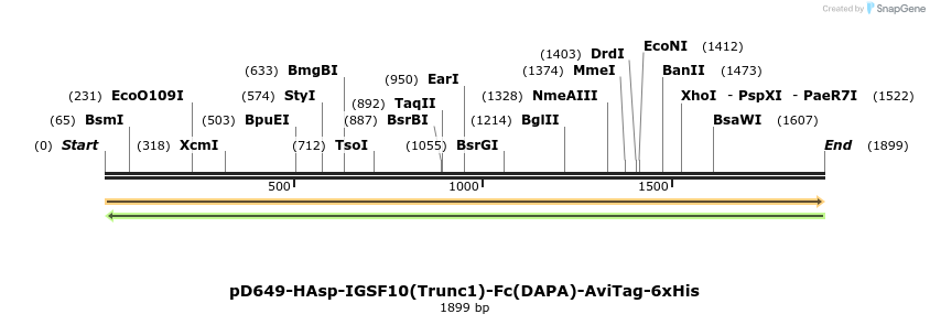 302976_map