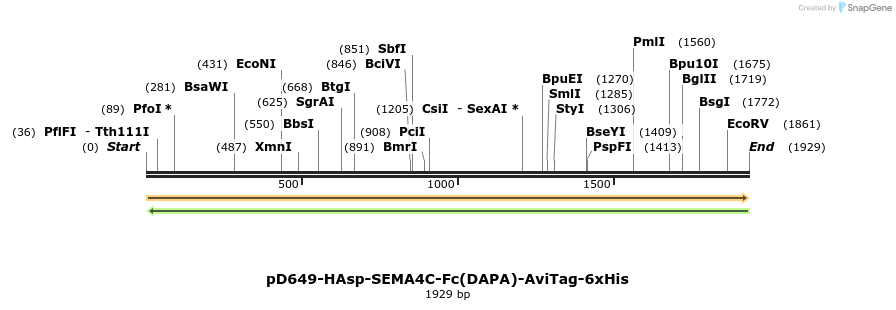 302980_map
