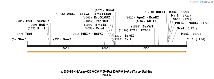 302984_map