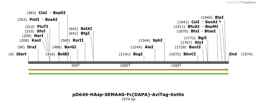 302988_map