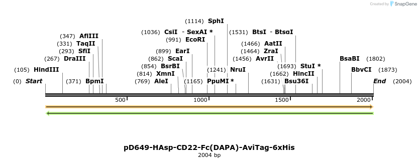 302990_map