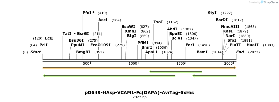 302994_map