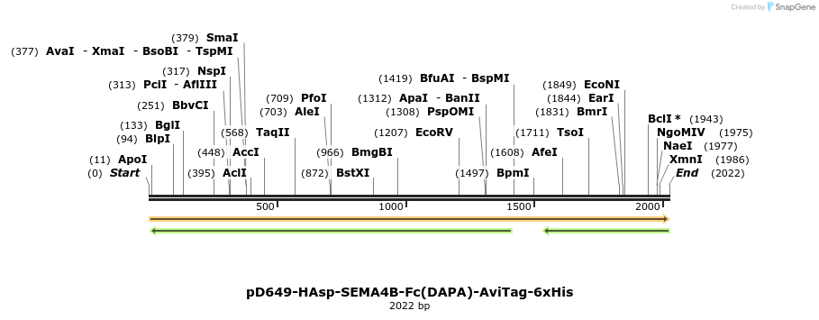 302998_map