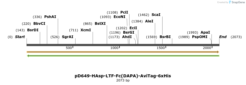 303002_map