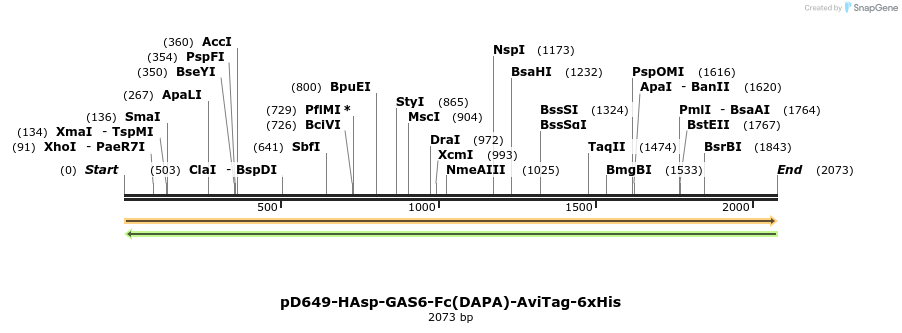 303004_map