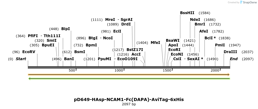 303006_map