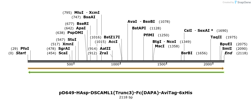 303010_map