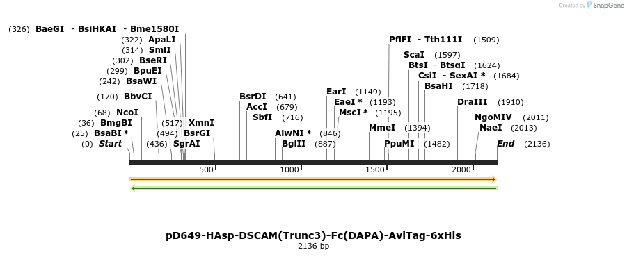 303012_map