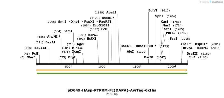 303020_map