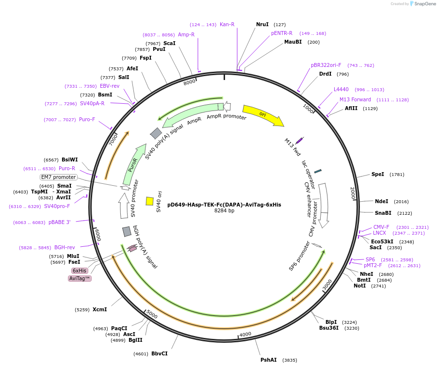 303023_map