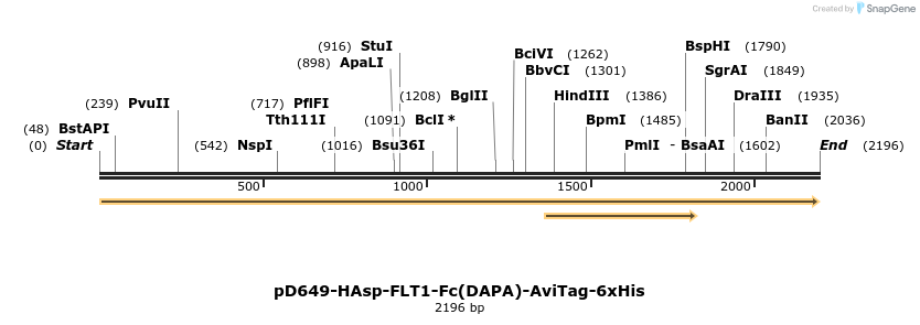 303034_map