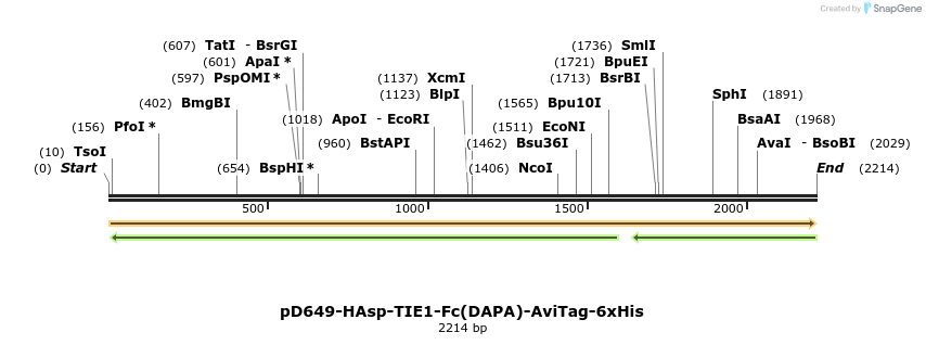 303036_map