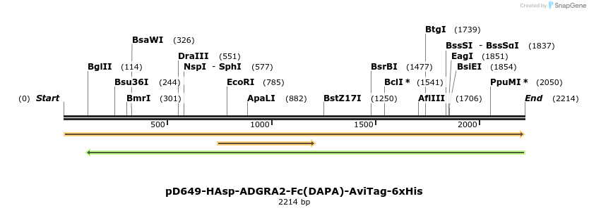 303038_map