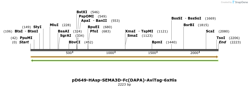 303042_map