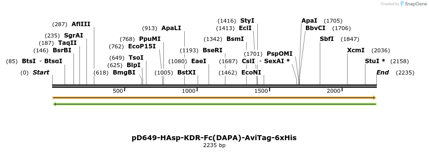303044_map