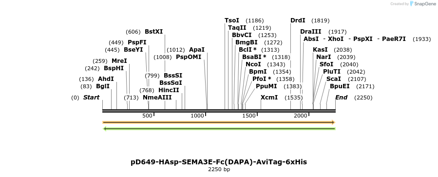 303050_map