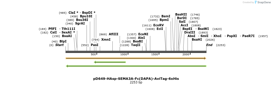 303054_map