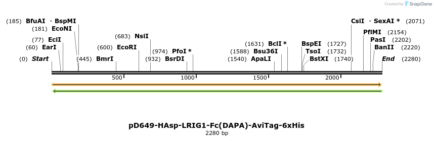 303058_map