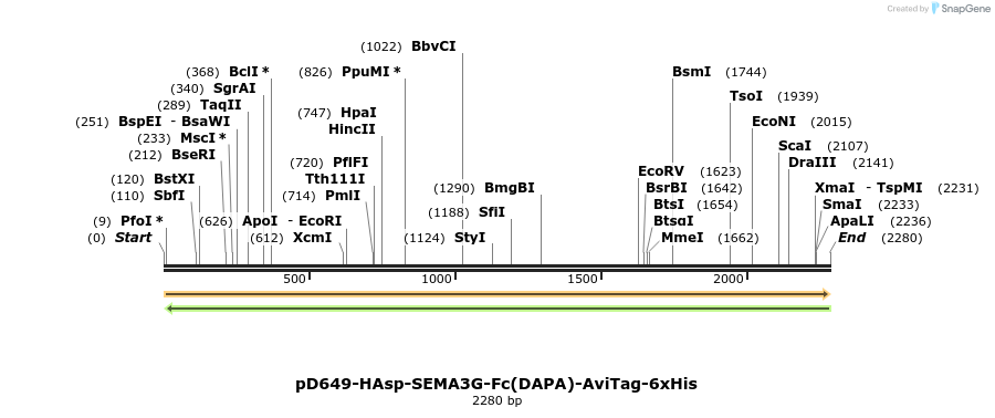 303060_map