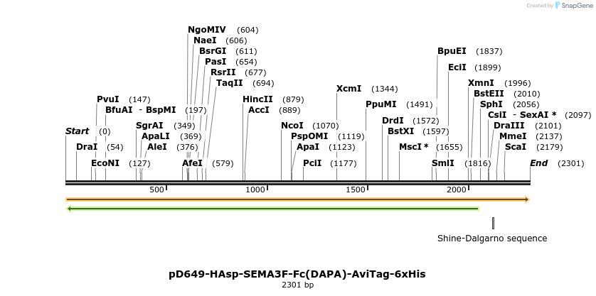 303064_map