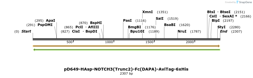 303066_map