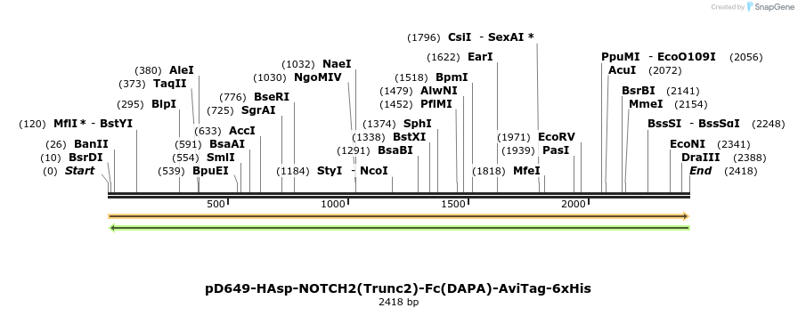 303072_map