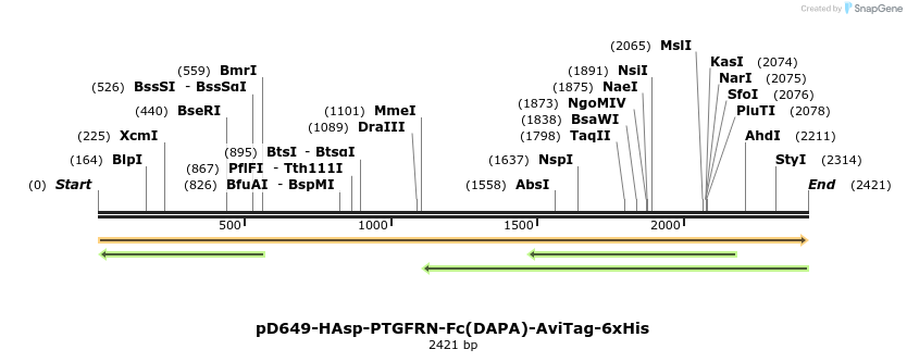 303074_map