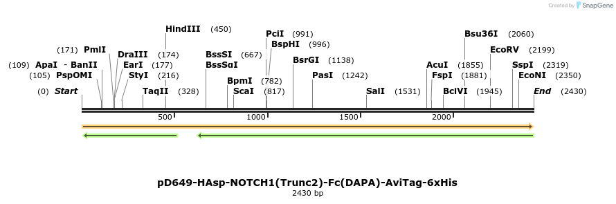 303076_map