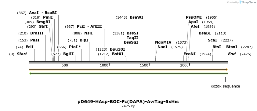 303082_map