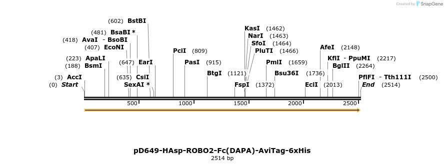 303092_map