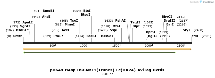 303100_map