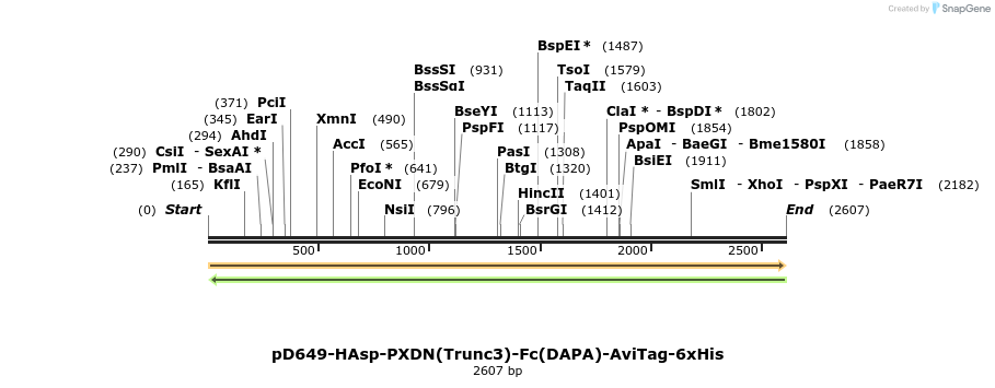 303102_map