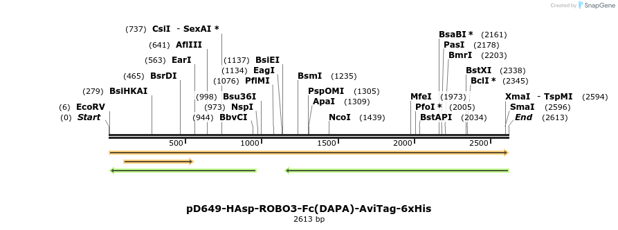 303104_map