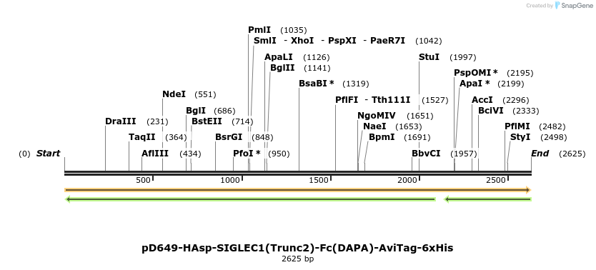 303108_map