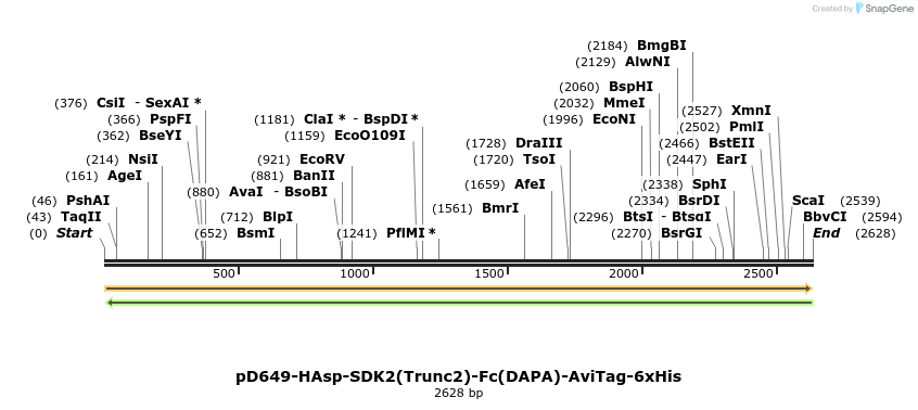 303110_map