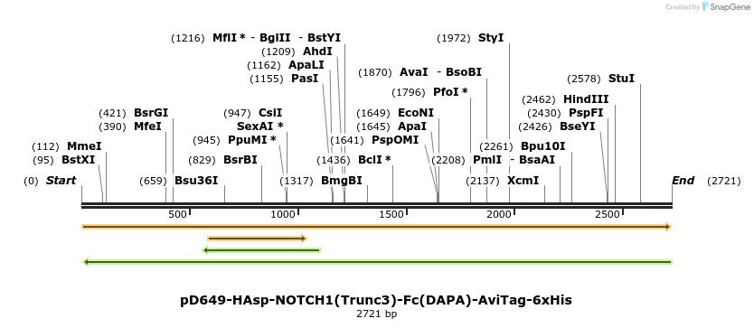 303114_map