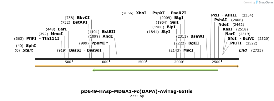 303116_map
